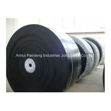 Cold Resistant Conveyor Belt/Nn Nylon Conveyor Belting